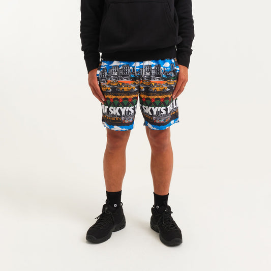 Stance Big Complex Short Multi |model